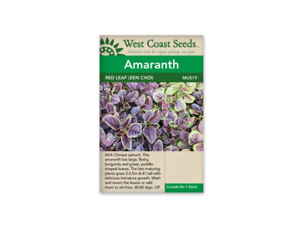 amaranth-red-leaf-een-choi-west-coast-seeds