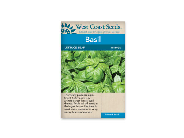 basil-lettuce-leaf-west-coast