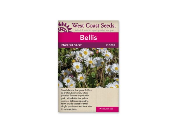 bellis-english-daisy-west-coast-seeds