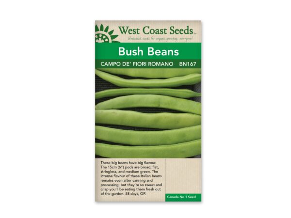 bush-beans-campo-de-fiori-romano-west-coast-seeds