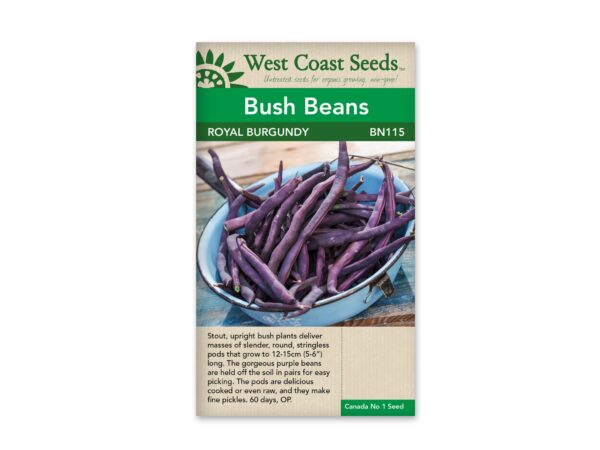 bush-beans-royal-burgundy-west-coast-seeds