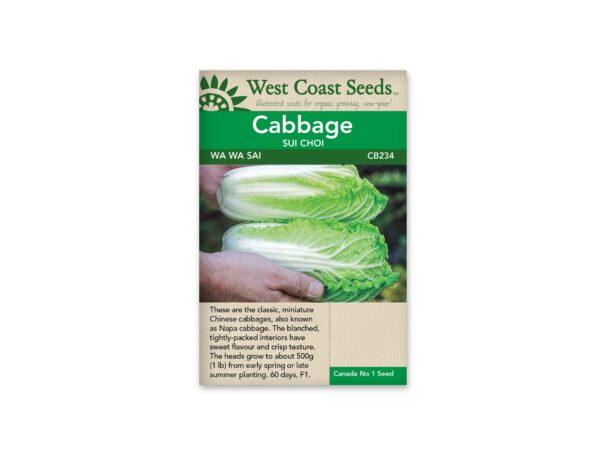 cabbage-sui-choi-wa-wa-sai-west-coast-seeds