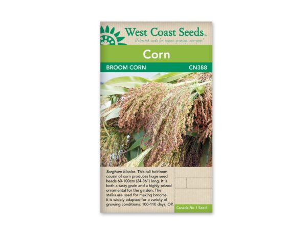 corn-broom-corn-west-coast-seeds