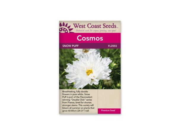 cosmos-snow-puff-west-coast-seeds