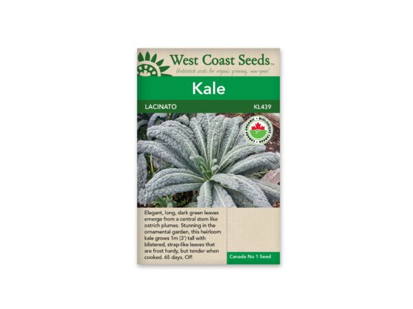 kale-lacinato-west-coast-seeds
