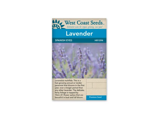 lavender-spanish-eyes-west-coast-seeds