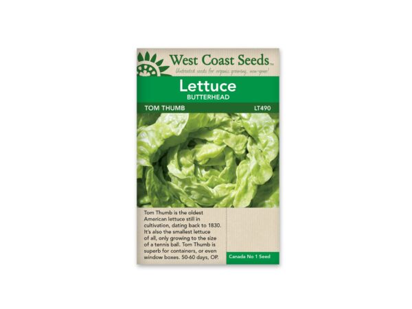 lettuce-butterhead-tom-thumb-west-coast-seeds