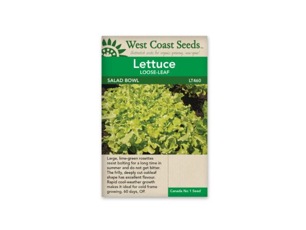 lettuce-loose-leaf-salad-bowl-west-coast-seeds