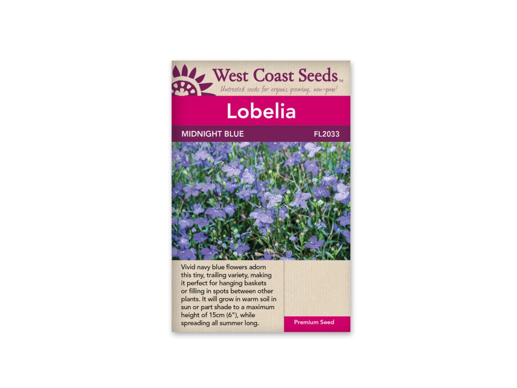 Lobelia-Midnight Blue-West Coast - Blue Grass Nursery, Sod and Garden ...
