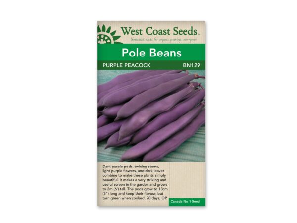 pole-beans-purple-peacock-west-coast-seeds