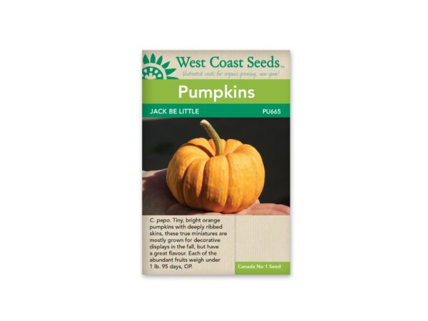 pumpkins-jack-be-little-west-coast-seeds