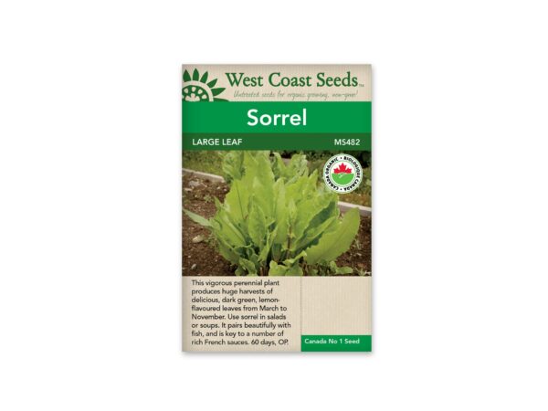 sorrel-large-leaf-west-coast-seeds
