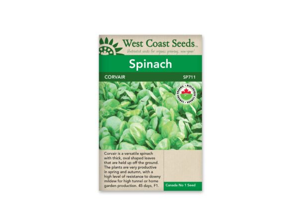 spinach-corvair-west-coast-seeds