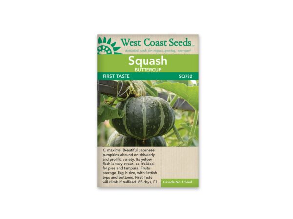 squash-buttercup-fisrt-taste-west-coast-seeds