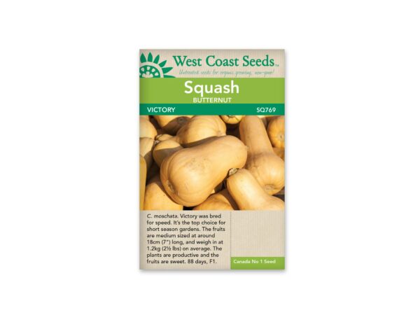 squash-butternut-victory-west-coast-seeds
