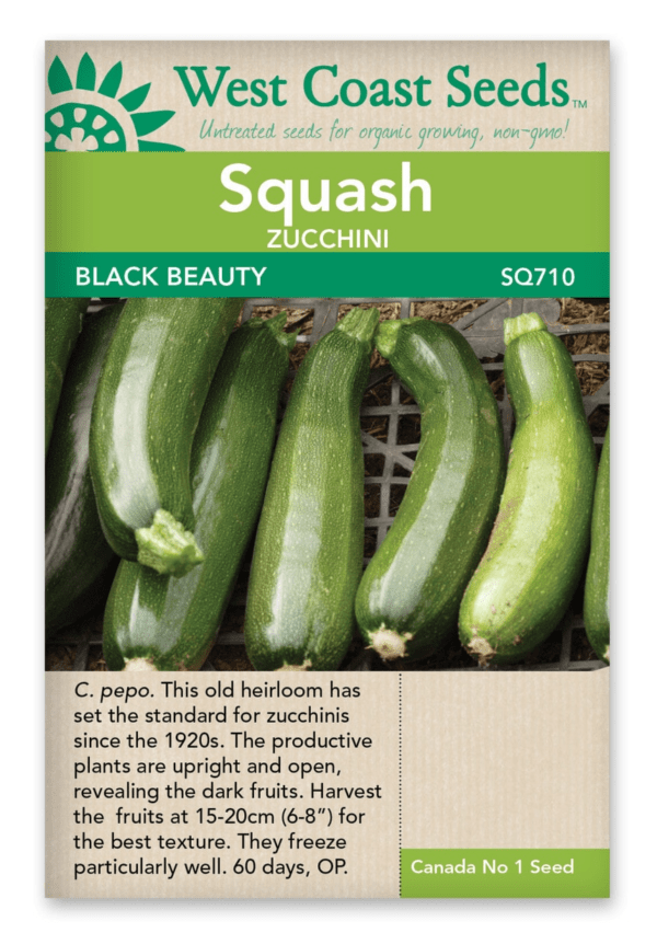 squash-zucchini-black-beauty-west-coast-seeds