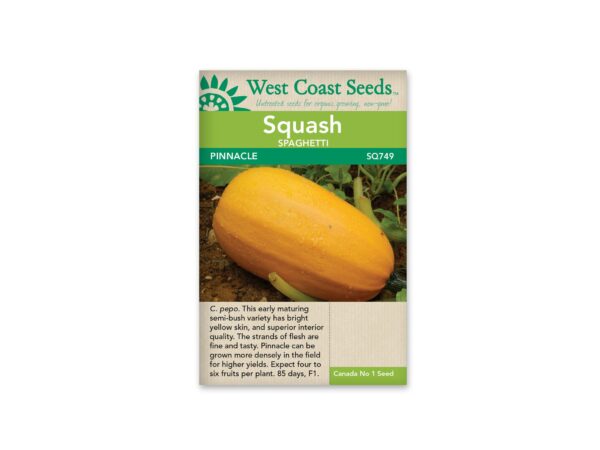 squash-zucchini-pinnacle-west-coast-seeds