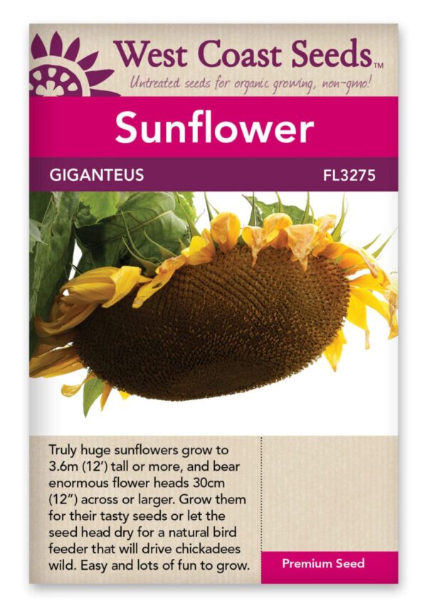 sunflower-giganteus-west-coast-seeds