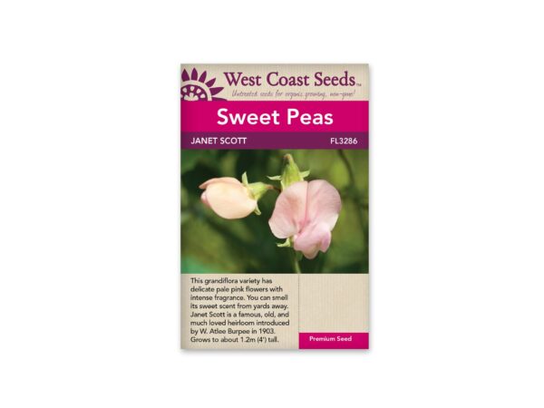 sweet-peas-janet-scott-west-coast-seeds