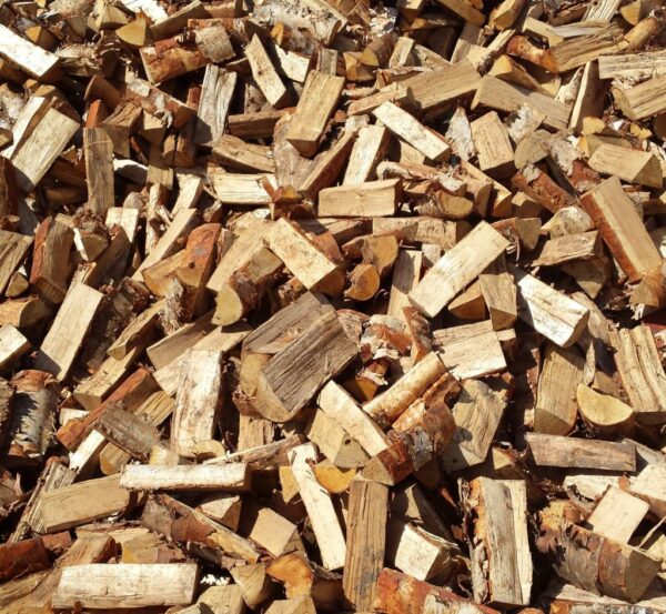 birch-firewood