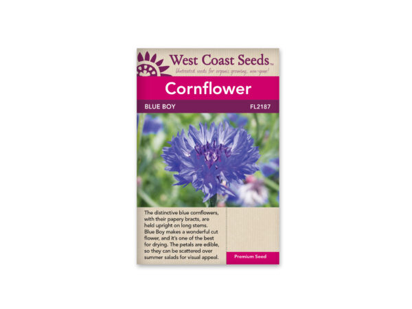 cornflower-centaurea-blue-boy-west coast