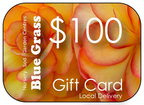 blue-grass-gift-card-100-delivery