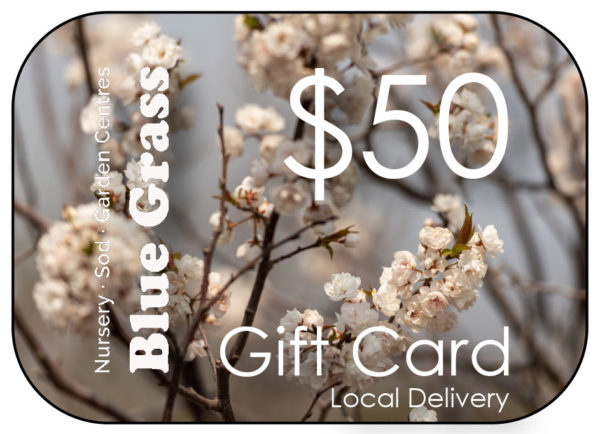 blue-grass-gift-card-50-delivery
