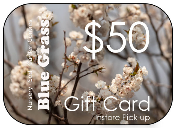 blue-grass-gift-card-50-instore