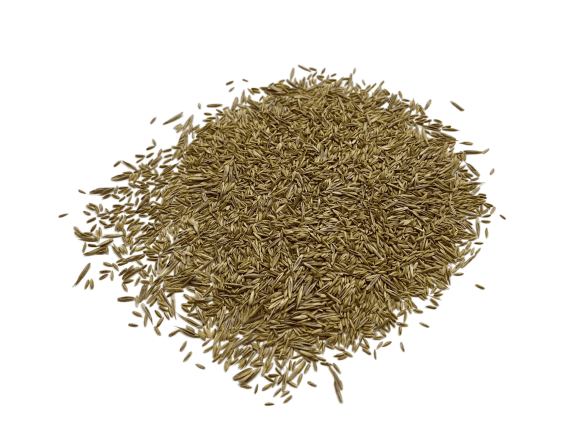 grass-seeds-custom-mix