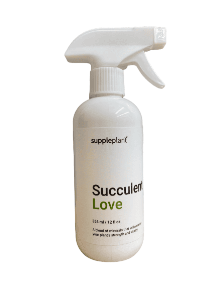 succulent-love-suppleplant