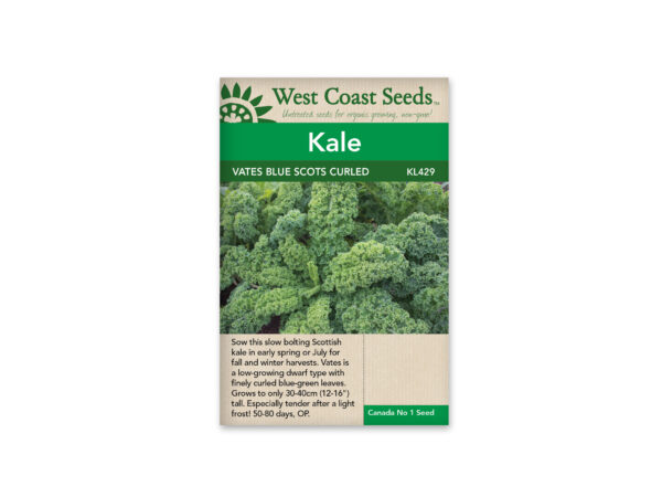 kale-vates-blue-scots-curled-west-coast